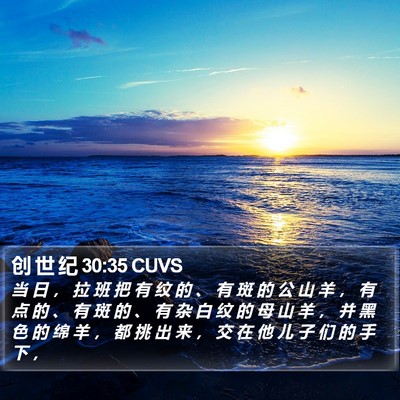 创 世 纪 30:35 CUVS Bible Verse Image