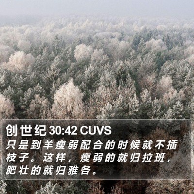创 世 纪 30:42 CUVS Bible Verse Image