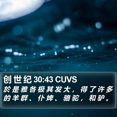 创 世 纪 30:43 CUVS Bible Verse Image