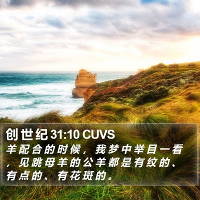 创 世 纪 31:10 CUVS Bible Verse Image