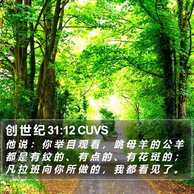 创 世 纪 31:12 CUVS Bible Verse Image