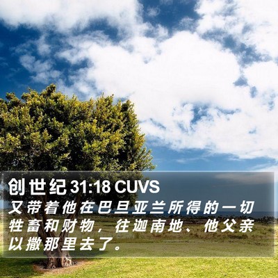 创 世 纪 31:18 CUVS Bible Verse Image