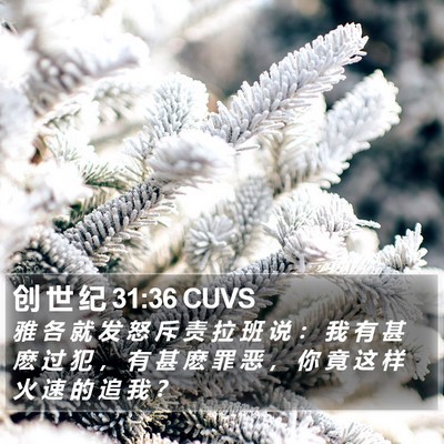 创 世 纪 31:36 CUVS Bible Verse Image