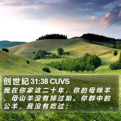创 世 纪 31:38 CUVS Bible Verse Image