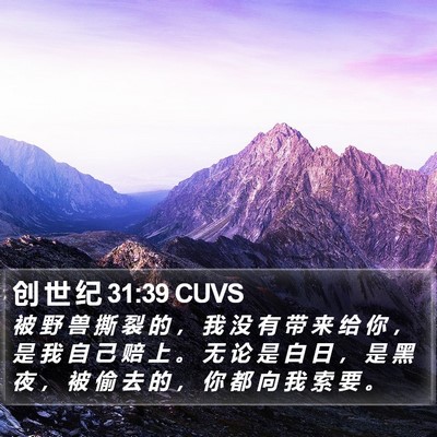创 世 纪 31:39 CUVS Bible Verse Image
