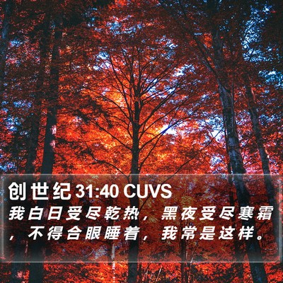 创 世 纪 31:40 CUVS Bible Verse Image