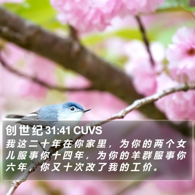 创 世 纪 31:41 CUVS Bible Verse Image