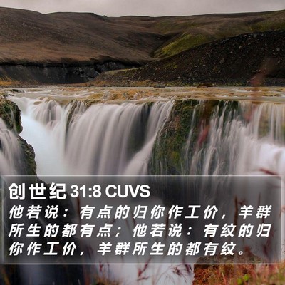 创 世 纪 31:8 CUVS Bible Verse Image