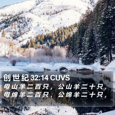 创 世 纪 32:14 CUVS Bible Verse Image