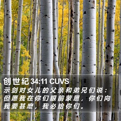 创 世 纪 34:11 CUVS Bible Verse Image