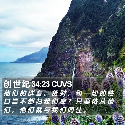 创 世 纪 34:23 CUVS Bible Verse Image