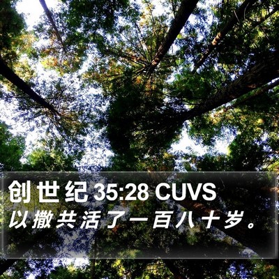 创 世 纪 35:28 CUVS Bible Verse Image