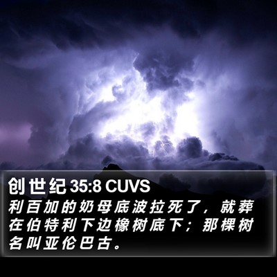 创 世 纪 35:8 CUVS Bible Verse Image