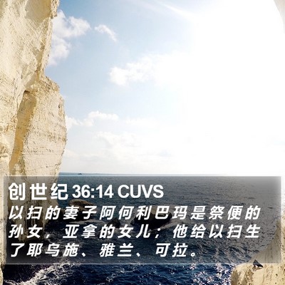 创 世 纪 36:14 CUVS Bible Verse Image