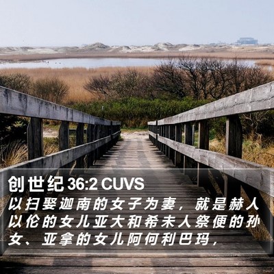 创 世 纪 36:2 CUVS Bible Verse Image