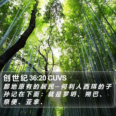 创 世 纪 36:20 CUVS Bible Verse Image