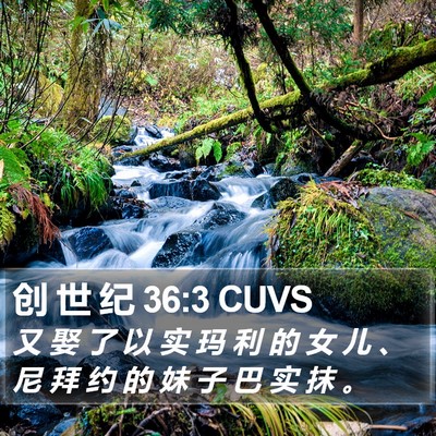 创 世 纪 36:3 CUVS Bible Verse Image