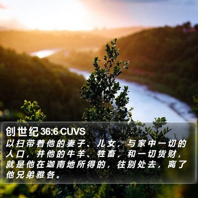 创 世 纪 36:6 CUVS Bible Verse Image