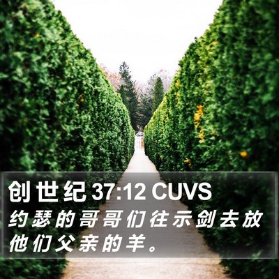 创 世 纪 37:12 CUVS Bible Verse Image