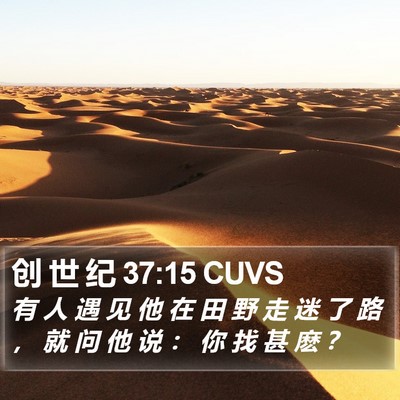 创 世 纪 37:15 CUVS Bible Verse Image