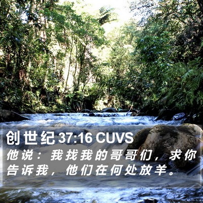 创 世 纪 37:16 CUVS Bible Verse Image