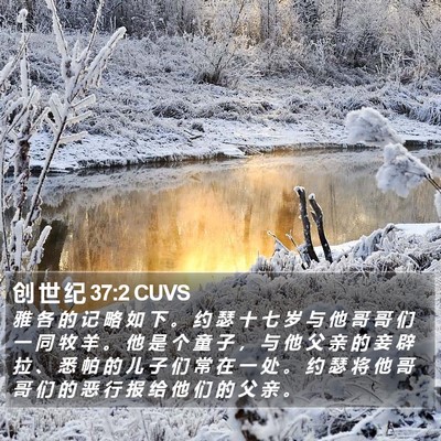 创 世 纪 37:2 CUVS Bible Verse Image