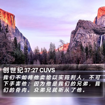 创 世 纪 37:27 CUVS Bible Verse Image