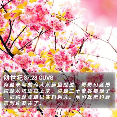 创 世 纪 37:28 CUVS Bible Verse Image