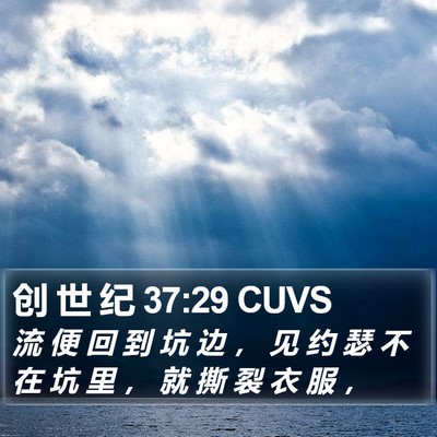创 世 纪 37:29 CUVS Bible Verse Image