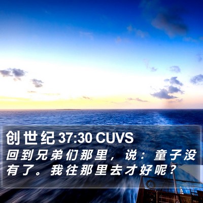 创 世 纪 37:30 CUVS Bible Verse Image