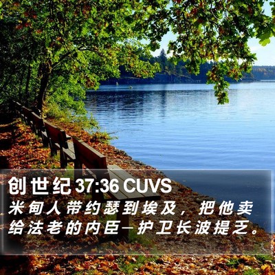 创 世 纪 37:36 CUVS Bible Verse Image