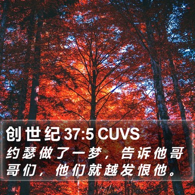 创 世 纪 37:5 CUVS Bible Verse Image