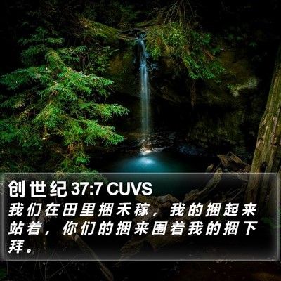 创 世 纪 37:7 CUVS Bible Verse Image