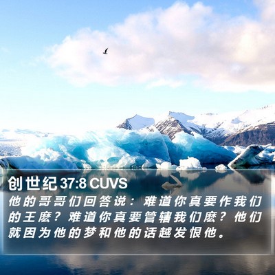 创 世 纪 37:8 CUVS Bible Verse Image