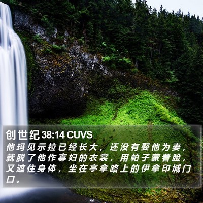 创 世 纪 38:14 CUVS Bible Verse Image