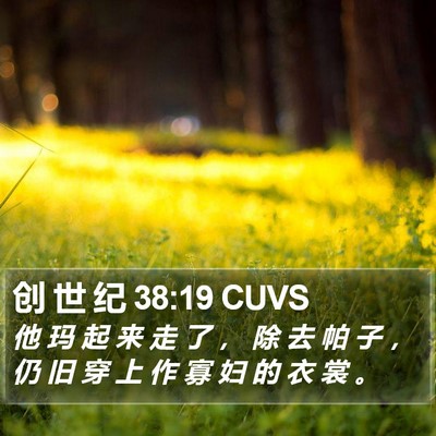 创 世 纪 38:19 CUVS Bible Verse Image