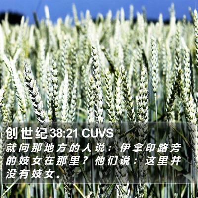 创 世 纪 38:21 CUVS Bible Verse Image