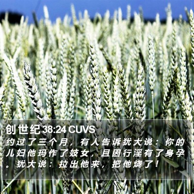 创 世 纪 38:24 CUVS Bible Verse Image