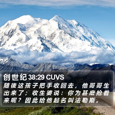 创 世 纪 38:29 CUVS Bible Verse Image