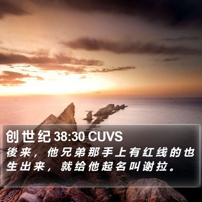 创 世 纪 38:30 CUVS Bible Verse Image