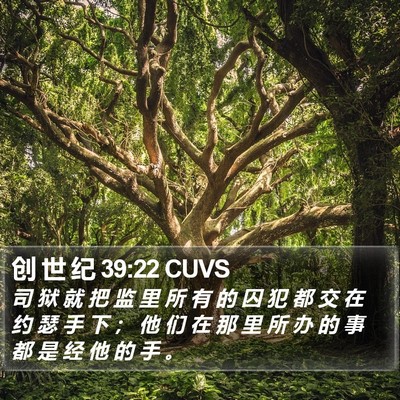创 世 纪 39:22 CUVS Bible Verse Image