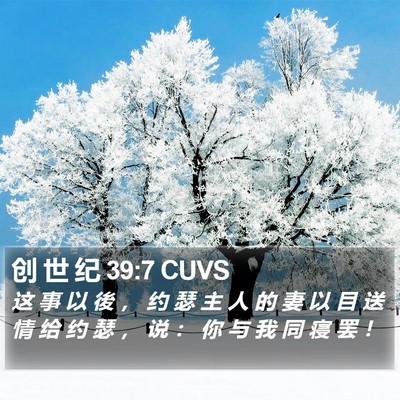 创 世 纪 39:7 CUVS Bible Verse Image