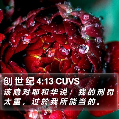 创 世 纪 4:13 CUVS Bible Verse Image