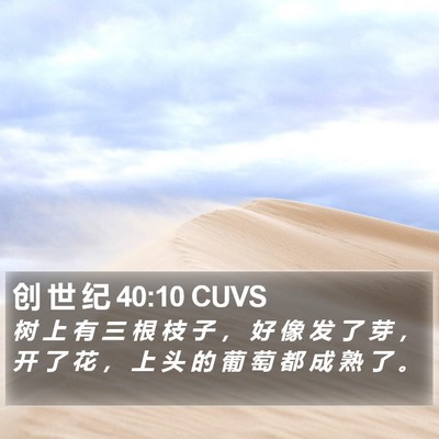 创 世 纪 40:10 CUVS Bible Verse Image