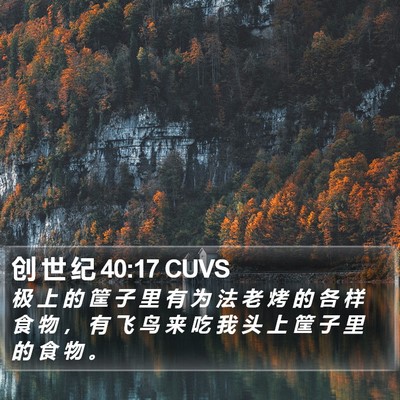 创 世 纪 40:17 CUVS Bible Verse Image