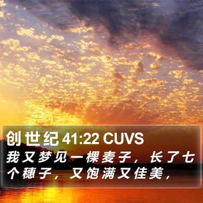 创 世 纪 41:22 CUVS Bible Verse Image