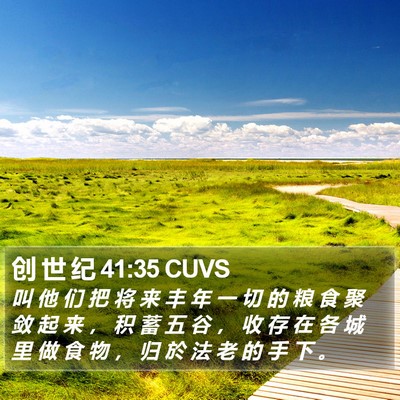 创 世 纪 41:35 CUVS Bible Verse Image
