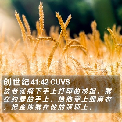 创 世 纪 41:42 CUVS Bible Verse Image