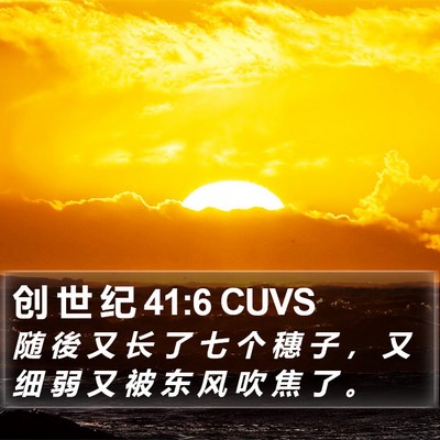 创 世 纪 41:6 CUVS Bible Verse Image
