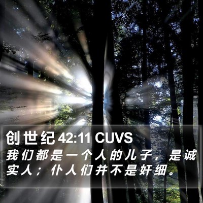 创 世 纪 42:11 CUVS Bible Verse Image